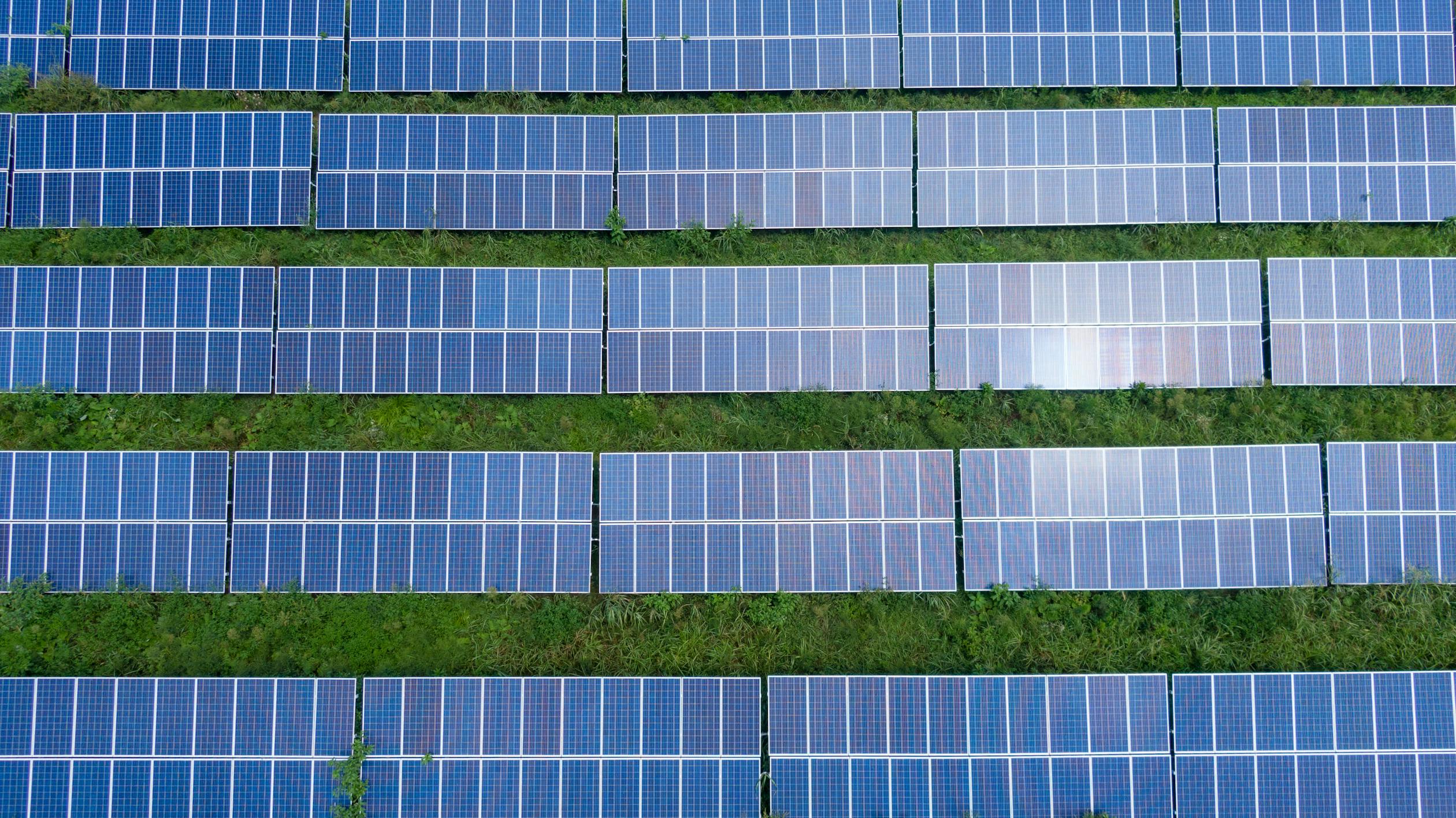 10MW Operating Solar Farm with Grazing